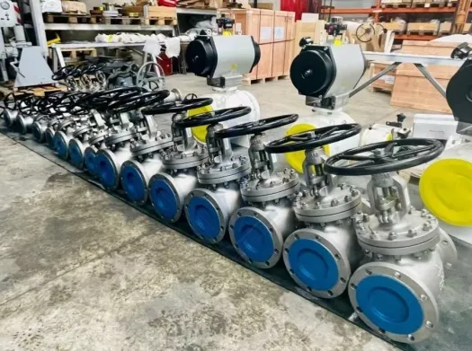 Cast Steel Flanged Globe Valve